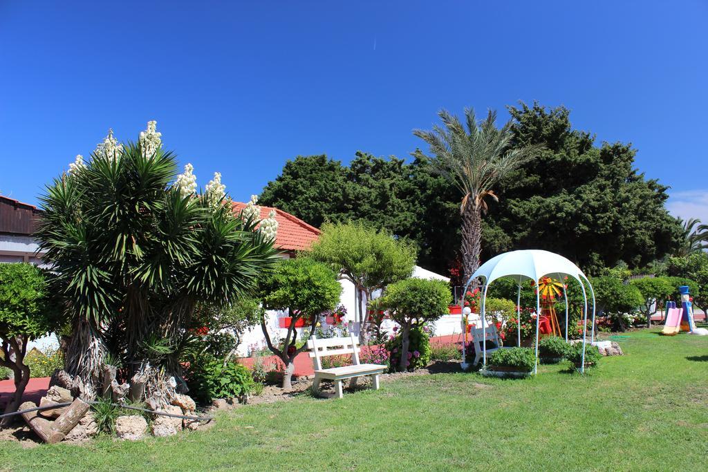 Corellia Asterias Beach Hotel Theológos Exterior foto